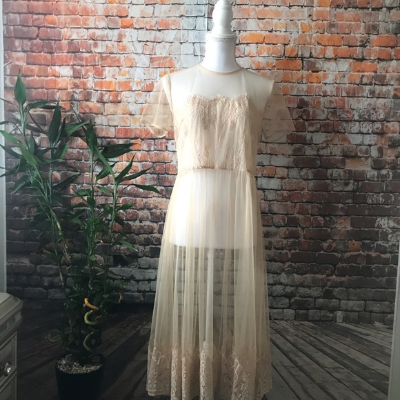 sheer lace and mesh overlay dress